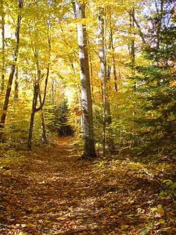 Here in the Prairie State, early fall is also the time when you can hike 