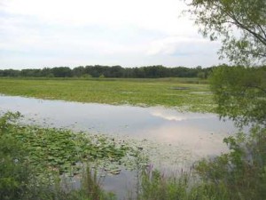 Pond at West Beach