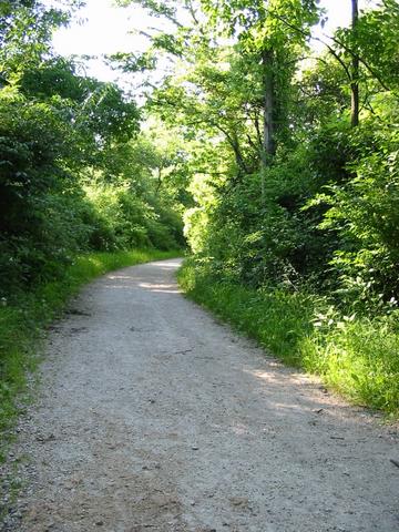 Cap Sauers-Swallow Cliff trail