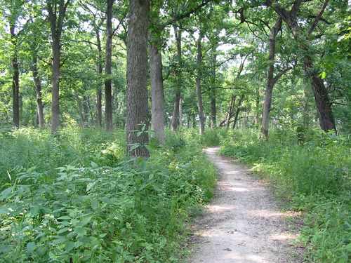 danada-trail danada-trail
