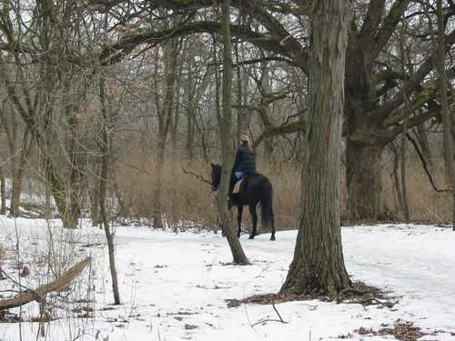equestrian Greene Valley Forest Preserve equestrian Greene Valley Forest Preserve