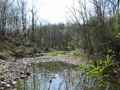 Waterfall Glen Forest Preserve ravine Waterfall Glen Forest Preserve ravine