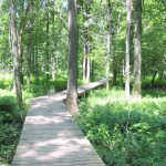 boardwalk1 A 0.2-mile boardwalk carries you through a wet bottomland forest and a marshland. It ends at a scenic spot where a metal footbridge takes you across Little Calumet River.