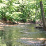 The Deep River is actually fairly shallow as it runs through the park. Apparently, its name was inspired by deeper stretches of water downstream.