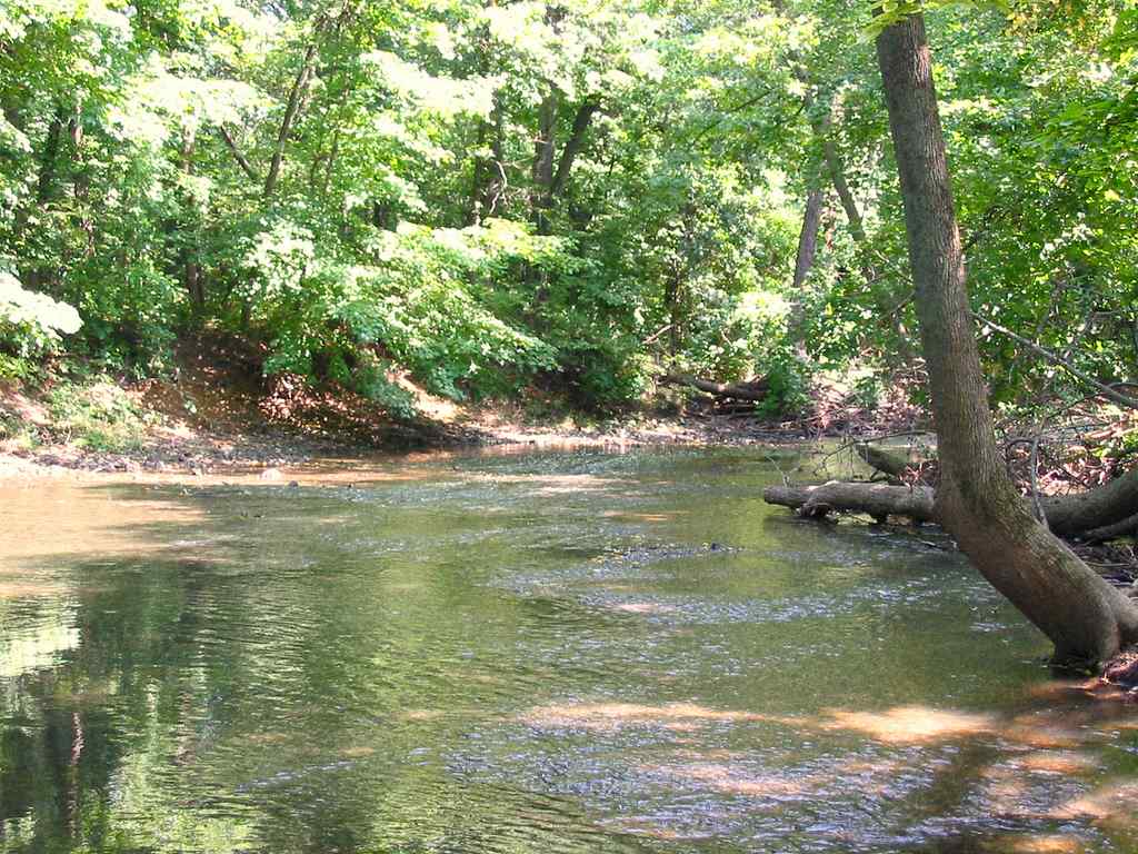 shallow river