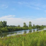 Bring your field glasses to see herons, ducks, and geese among fields of lush marsh grass and the scattered stands of cattails.