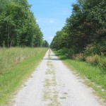 straight-trail Wetlands dominate the landscape at this park, but you'll also see prairie, savanna, and woodland.