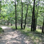 trail Getting closer to Lake Michigan, hikers will encounter some big dunes.
