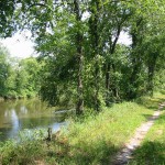 trail-and-river The levee—which is about 15 feet above the surrounding landscape—provides a bird’s-eye view of the river and the nearby marshes and woodland.