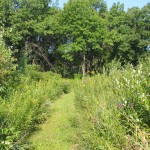 Hikers will encounter ponds, woodland, marshland, tallgrass prairie, and savanna.
