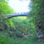 bridge The stairs, footbridges, dams at the park were built by a local industrialist who created the park as a private refuge for his family and friends.