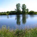 Created for the recreation of the arsenal employees, Turtle Pond is pleasantly fringed with cattails, sedge grasses, and trees hanging over the water.