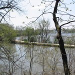 While hiking the bluffs at McKinley Woods, you'll catch views of the I&M Canal and the I&M Canal Trail.