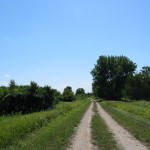 Many of the trails were roads that farmers used to access the agricultural fields.