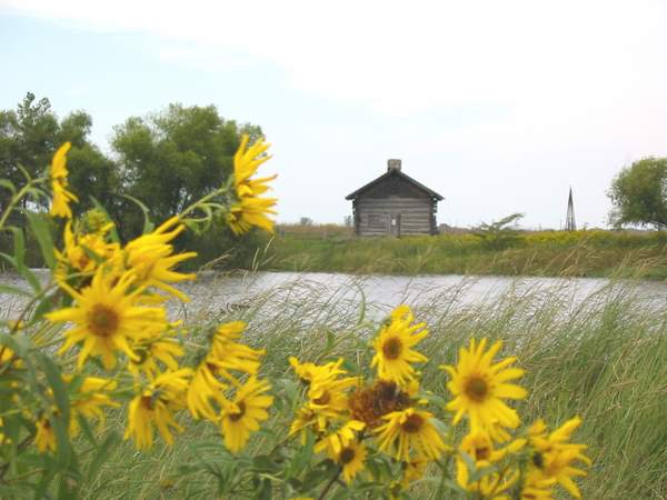 Goose Lake Prairie State Park