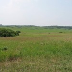 Nachusa This ride takes you past the Nachusa Grasslands, the largest swath of tallgrass prairie in Illinois.