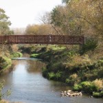 The Duck Creek Trail passes back and forth over creek multiple times.