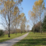 The Duck Creek Trail is often bordered by open grassy parkland.