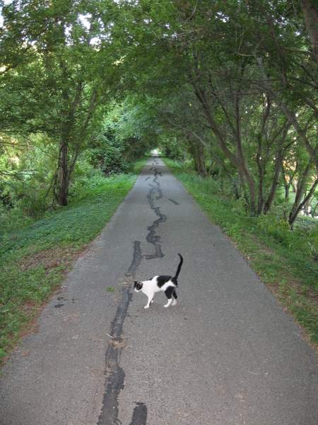 Long Prairie-Stone Bridge Trails