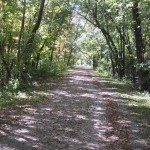 woods Before reaching Romeoville Road and the Isle a La Cache Museum, the trail passes through a heavily wooded area.